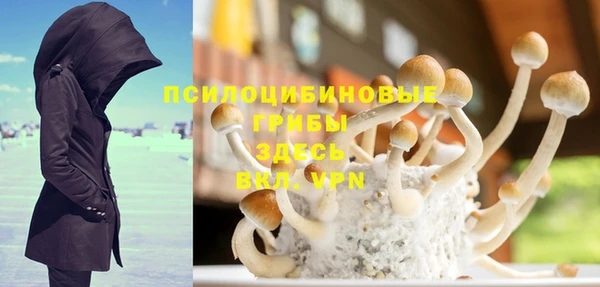бошки Покровск