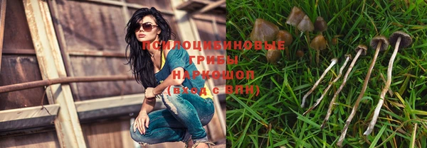 метадон Покачи