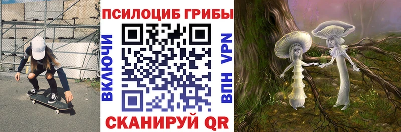 Галлюциногенные грибы ЛСД  Черноголовка 